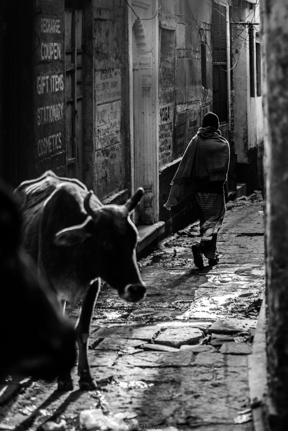 A person and a cow in a narrow lane, Varanasi, India — Glenn Alderson